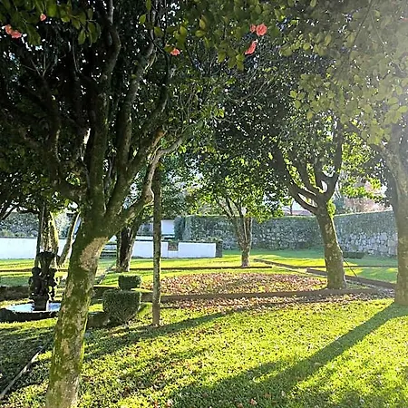 Paco De Vitorino Otel