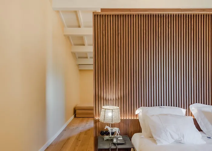 Hotel Paco De Vitorino 4*